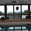 Photo of Henniker Motel