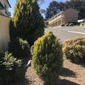 Image of Hideaway Motor Inn Armidale