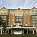 Exterior of Hilton Garden Inn Houston/Galleria Area