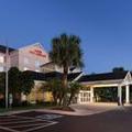 Exterior of Hilton Garden Inn Mcallen Airport
