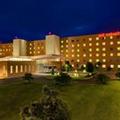 Photo of Hilton Garden Inn Rome Airport