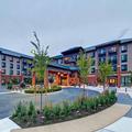 Exterior of Hilton Garden Inn Seattle / Issaquah