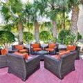 Exterior of Hilton Garden Inn Tampa North Busch Gardens