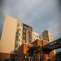 Photo of Hilton Garden Inn Tampa Suncoast Parkway