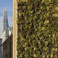 Exterior of Holiday Inn Express London - Southwark by IHG