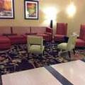 Image of Holiday Inn Express & Suites Forest by IHG