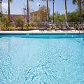 Exterior of Holiday Inn Express & Suites West Palm Beach Metrocentre by IHG