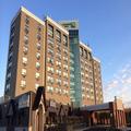 Image of Holiday Inn Hotel & Suites London by IHG