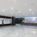 Image of Holiday Inn Zona Centro by IHG