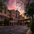 Photo of Homewood Suites by Hilton Phoenix Airport South
