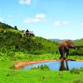 Image of Hopewell Private Game Reserve
