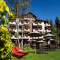 Image of Hotel Allalin Saas-Fee