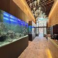 Photo of Hotel Aquarius Venice Ascend Hotel Collection