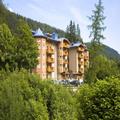 Image of Hotel Chalet Del Brenta