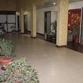 Image of Hotel Cool Palace