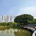Image of Hotel Cozi ·wetland