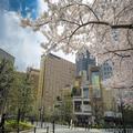 Photo of Hotel Metropolitan Edmont Tokyo