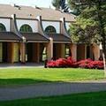 Photo of Hotel Pineta