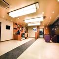 Image of Hotel Platinum Inn