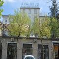 Image of Hotel Quisisana