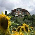 Photo of Hotel Sangallo
