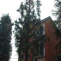 Photo of Hotel Tuscolano