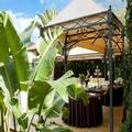 Photo of Hotel Villa Esperia