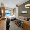 Image of Hyatt Place Chicago/Downtown - The Loop