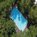 Photo of Jungle Addition