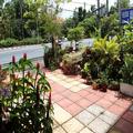 Image of Khao Lak Traveller Lodge