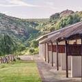 Photo of LIONSROCK Big Cat Sanctuary