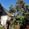 Photo of La Maison Blanche