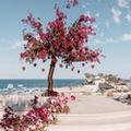 Photo of Las Ventanas al Paraiso, A Rosewood Resort