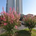Photo of Le Grand Hotel