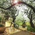 Image of Le Méridien Mahabaleshwar Resort & Spa