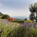 Exterior of Lefay Resort & Spa Lago Di Garda