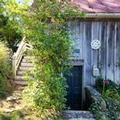 Photo of Lily Garden Bed and Breakfast