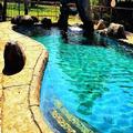 Photo of Limpopo Lodge
