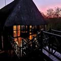 Image of Lion Tree Bush Lodge