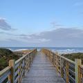 Photo of Lively Beach Resort