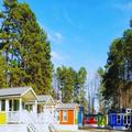 Photo of Long Cove Resort & Marina