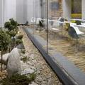 Image of MOODs Boutique Hotel