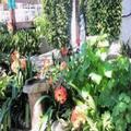 Photo of Mangolds Guesthouse