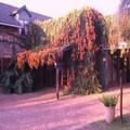 Image of Manor House Bed and Breakfast