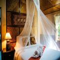 Image of Marisa Resort & Spa Chiang Dao