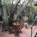 Image of Melville Turret Guesthouse