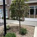 Photo of Microtel by Wyndham Penn Yan Finger Lakes Region