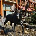 Photo of Moose Hotel And Suites