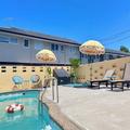 Photo of Mount Eden Motel