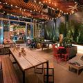 Photo of Moxy Austin University